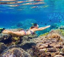ReefQuest offers fantastic value for money with unlimited snorkelling on two different reef locations