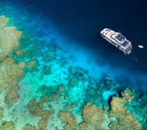 2 Snorkel / Dive sites | Norman / Saxon / Hastings Reef | Cairns' Outer Reefs, The Great Barrier Reef 