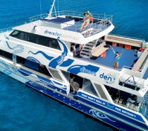  our vessel ReefQuest boasts 3 large sun decks, 2 air-conditioned indoor saloons, a spacious dive deck, and a sunken platform