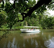 Daintree River Crocodile Cruise