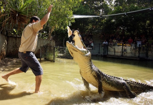 Hartley’s Crocodile Adventures