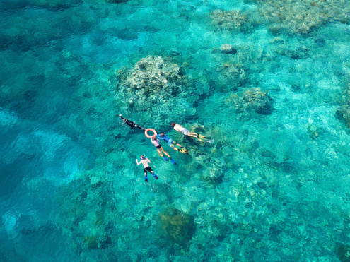 Snorkelling with ReefQuest